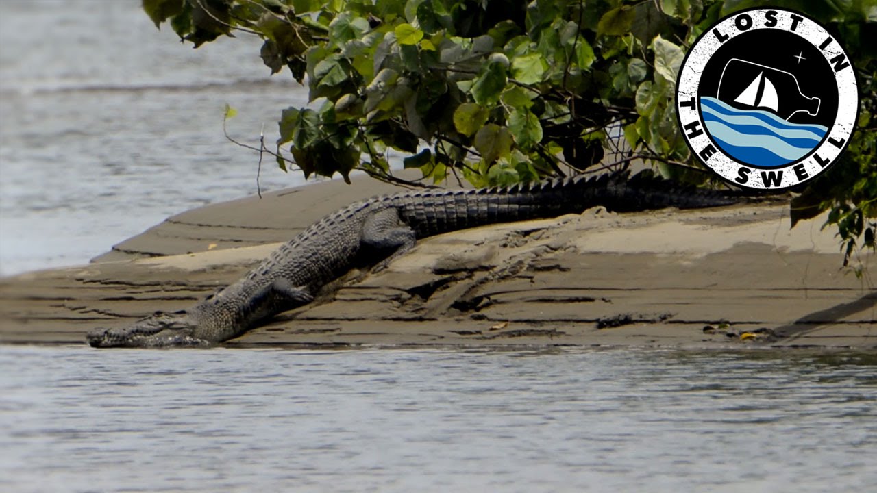 Épisode 7 : Stand Up Crocodile